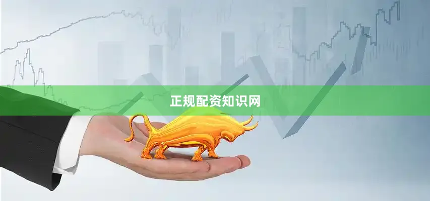 正规配资知识网