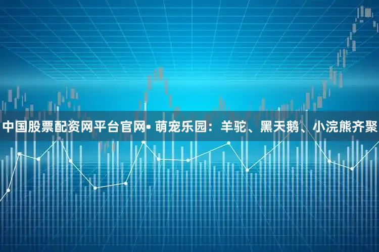 中国股票配资网平台官网• 萌宠乐园：羊驼、黑天鹅、小浣熊齐聚