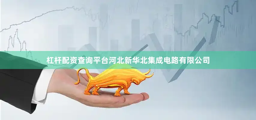 杠杆配资查询平台河北新华北集成电路有限公司