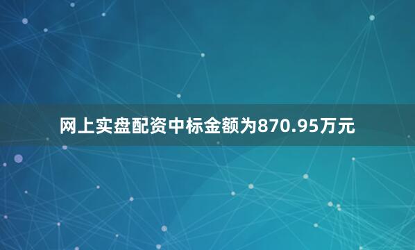 网上实盘配资中标金额为870.95万元